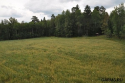 В Челябинской области охотники не поделили лесных угодий