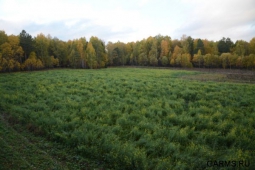 Охотников Челябинской области предупреждает МЧС: профилактика бешенства – гарантия сохранения жизни