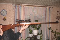 На территории России усложняются правила перевозки и хранения оружия