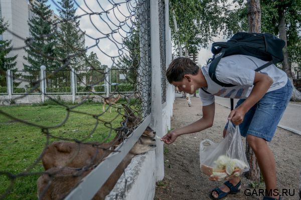 Казахстан. Боровое