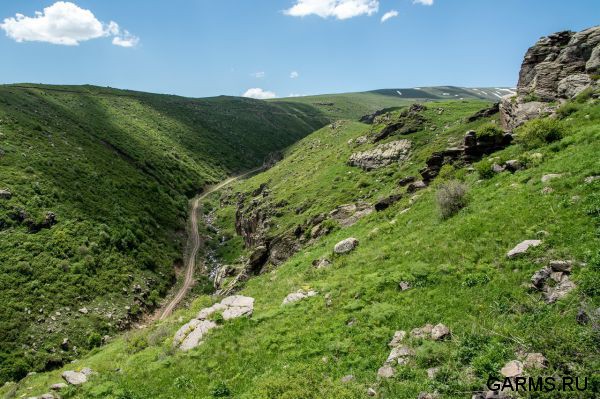 Армения
