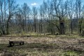 увеличить размер фото