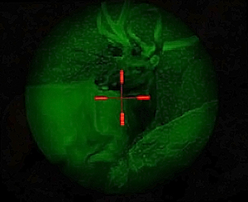 Вид в прицел ночного видения