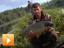 Чемпионат УРФО по карпфишингу август 2013